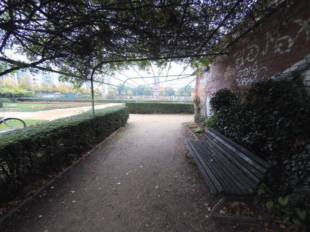 Foto der Yi 4K Action Camera (Bild: Martin Wolf/Golem.de)